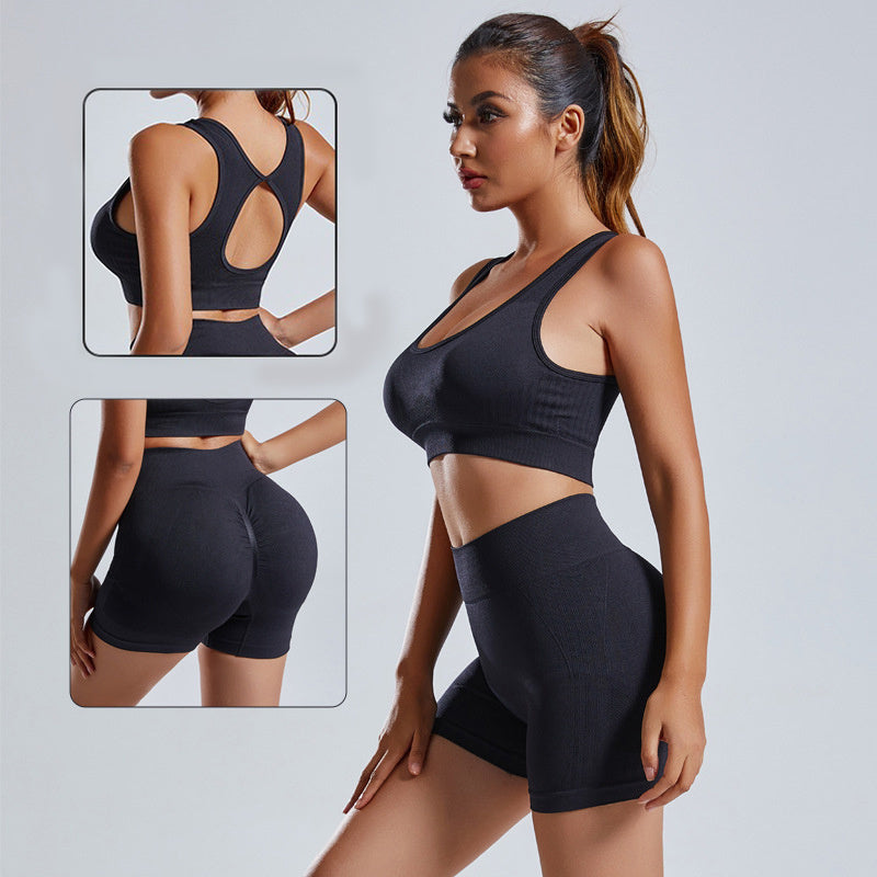 Women’s 2-Piece Seamless Yoga Set (Vest & Shorts)