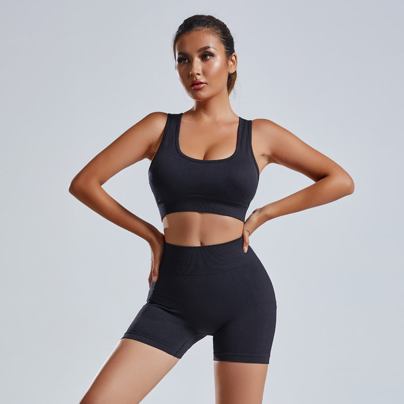 Women’s 2-Piece Seamless Yoga Set (Vest & Shorts)